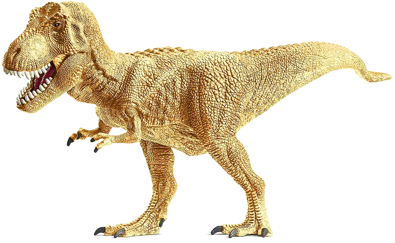 payment processing solutions