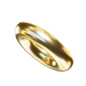 payment service providers